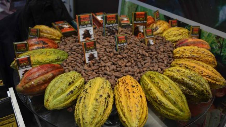 IX edición del Salón del Cacao y Chocolate se realizará este fin de semana en San Borja